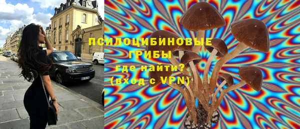 тгк Щигры