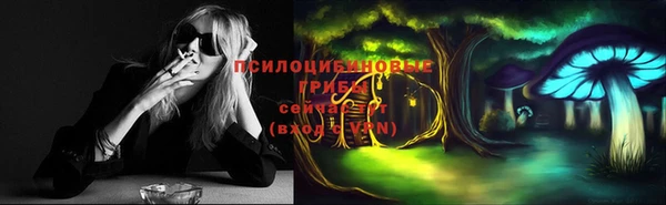 дурь Верхний Тагил