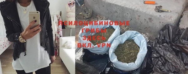 ешки Верея