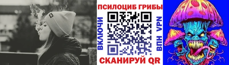 Псилоцибиновые грибы мицелий  Купить закладки  Прохладный 