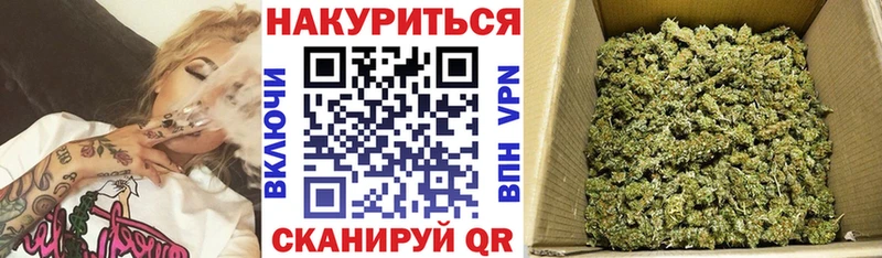 Марихуана ГИДРОПОН  Купить где  Прохладный 